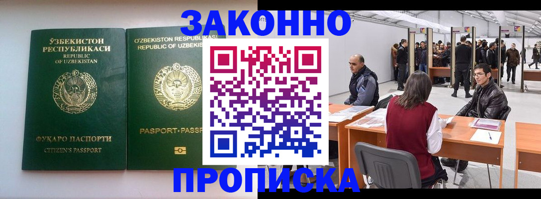 купить прописку в Полярных Зорях